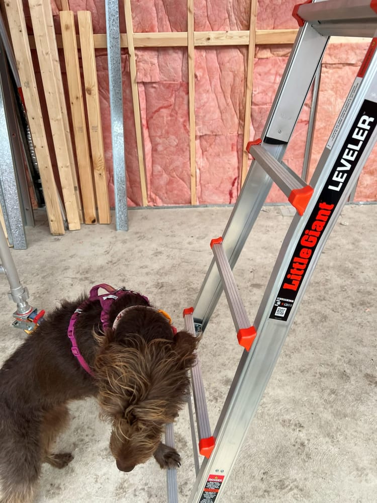 Insulation and timber framing to a wall, with a ladder set up alongside